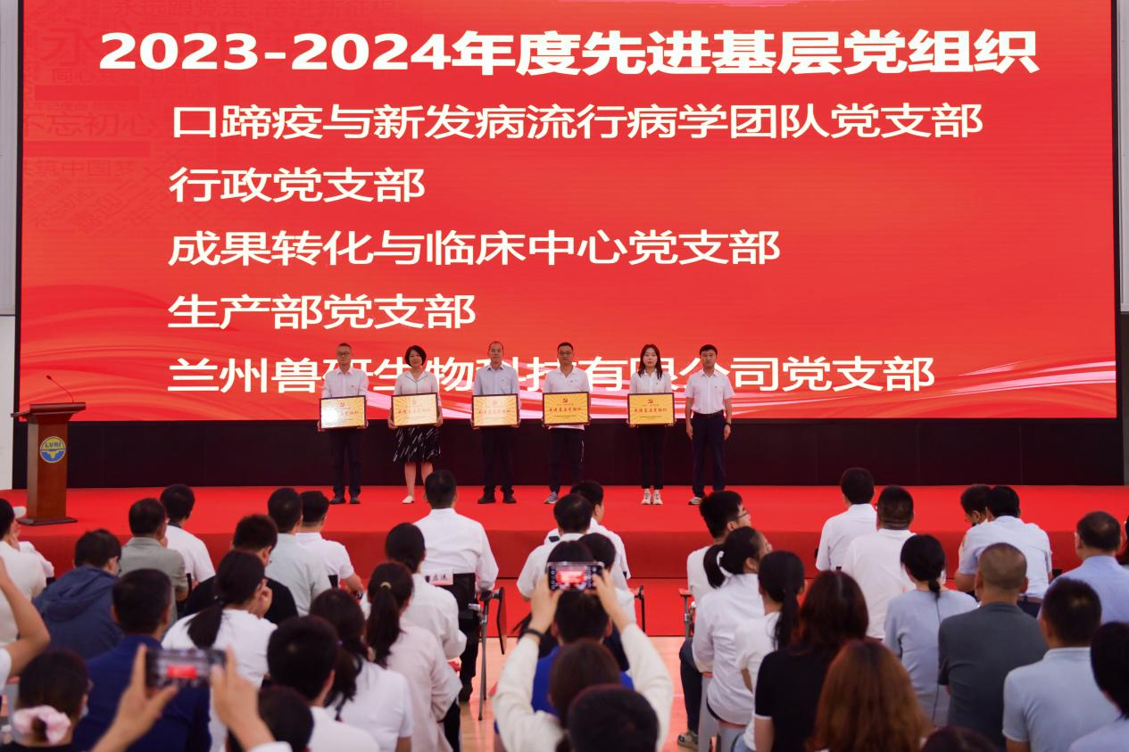 图片 6.png