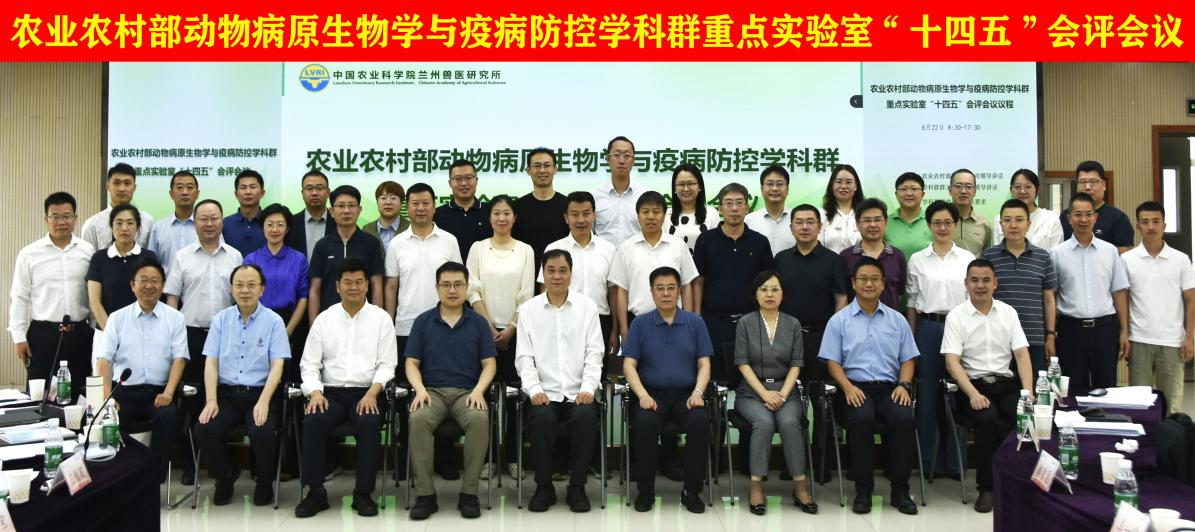 图片 4.png