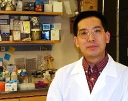 Dr Zhou is a member of the Infectious Diseases and Immunology Division